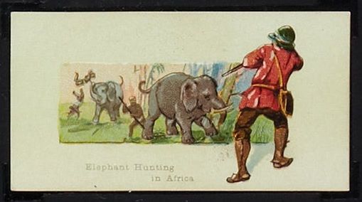 Elephant Hunting In Africa